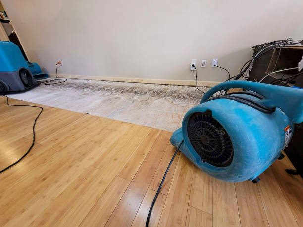 Professional Basement Flood Cleanup technician working in Pomaria, SC